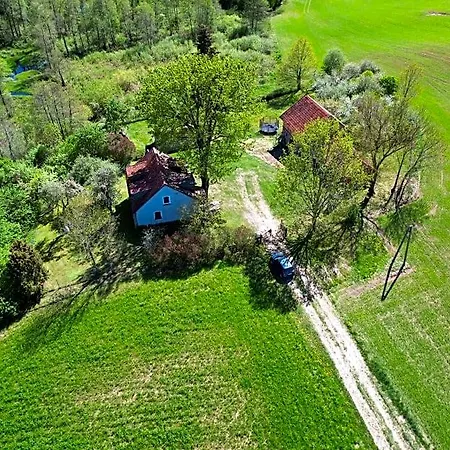 Pod Debem * Koczarki