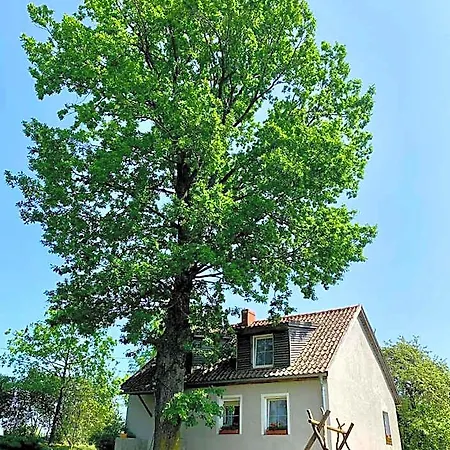 Lodge Pod Debem Koczarki